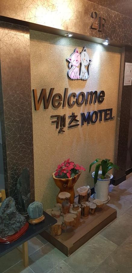 Cats Motel Гангнеунг Екстериор снимка